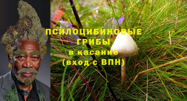 первитин Балахна