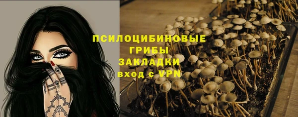 прущий лед Арсеньев