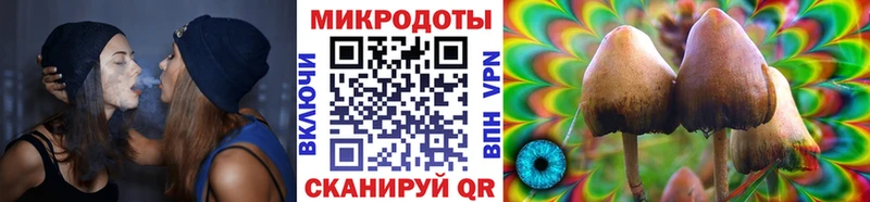 Псилоцибиновые грибы прущие грибы  Слюдянка 