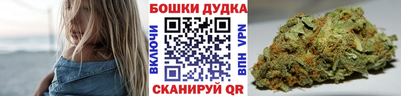 darknet Telegram  мега зеркало  Слюдянка  Бошки марихуана план 